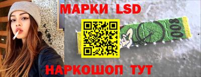 прущие грибы Новозыбков