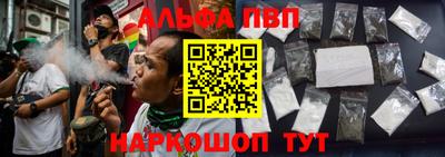 прущие грибы Новозыбков