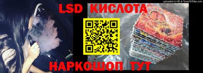 прущие грибы Новозыбков