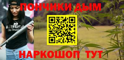 прущие грибы Новозыбков