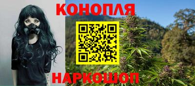 трава Новокубанск